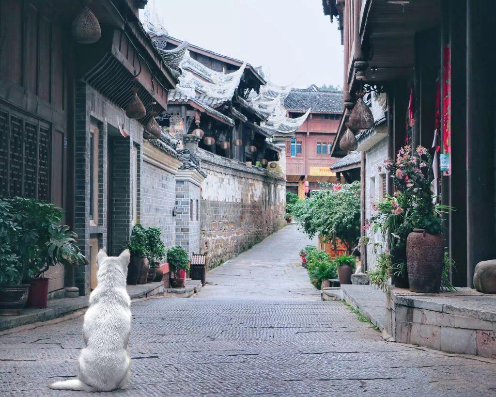 “速冻”模式开启 雨雪长期待机 河南应急提醒做好安全防范